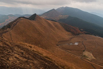 Refreshing summer in Nara,Japan
