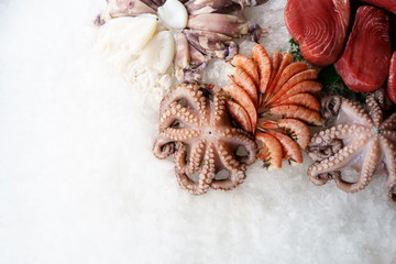 Seafood lie on ice octopus squid shrimp tuna