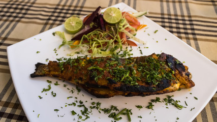 Soft focus on grilled himalayan trout fish