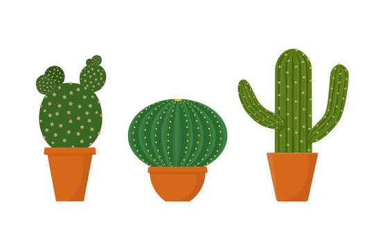 Set of cacti potted isolated on white background