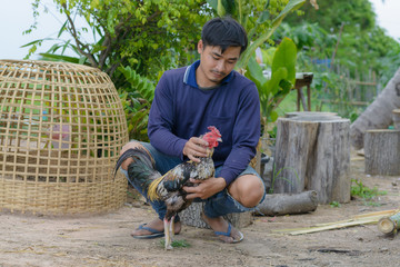 The way of farmers raising open-chicken farms