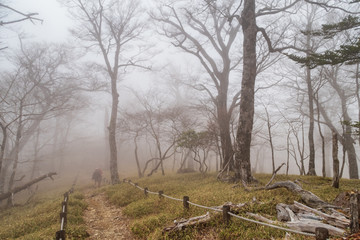 Fototapeta premium Refreshing Mie Prefecture, Japan