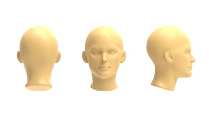 3d rendering of a human model isolated in white background