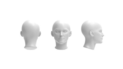 3d rendering of a human model isolated in white background