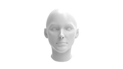 3d rendering of a human model isolated in white background