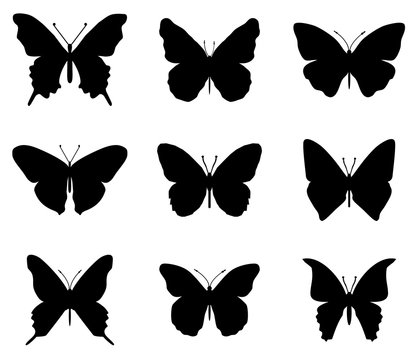 Butterflies silhouettes set.