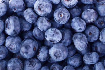 Fresh blueberry background. Texture blueberry berries close up