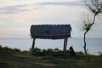 Fototapeta na wymiar Tropical Hut overlooking Ocean Views close-up
