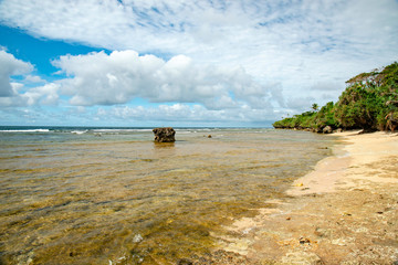 ニューカレドニア、グランドテール島、ヤテロード、ヤテ海岸