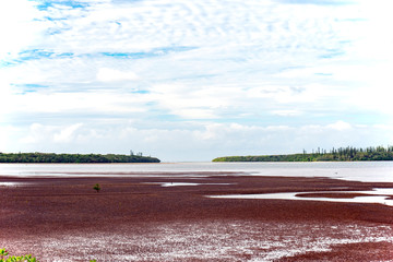 ニューカレドニア、グランドテール島、ぺ・ド・タアレ