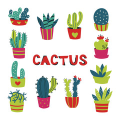 Hand Drawn Cactus and Succulents Isolated on White Background