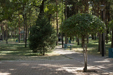 alley in the park