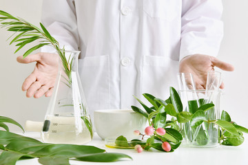 Scientist with natural drug research, Natural organic and scientific extraction in glassware,...