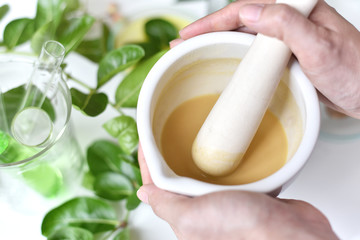 Alternative herbal medicine, Mortar with healing botanical herbs, Natural organic botany and...