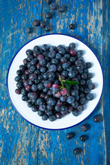 fresh blueberries in a metallic bowl