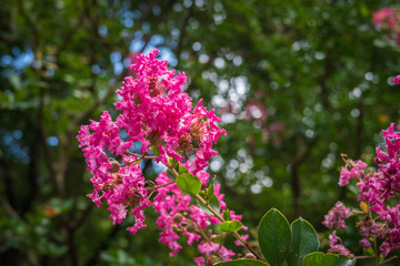 Refreshing in Hyogo Prefecture, Japan