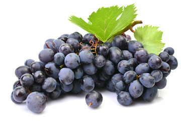 Grapes on a white background