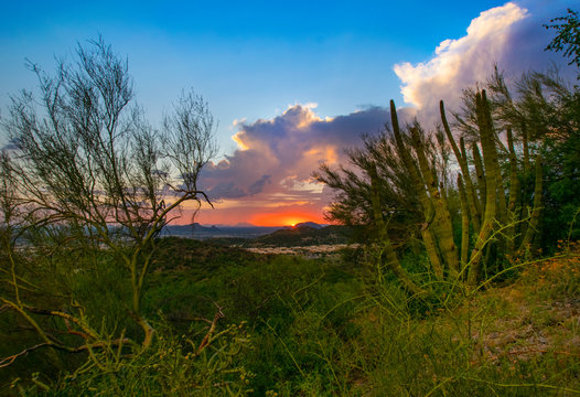 paisaje en cerro del bachoco hermosillo sonora mexico