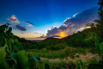 paisaje en hermosillo