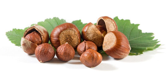 Isolated image of hazelnuts on a white background closeup