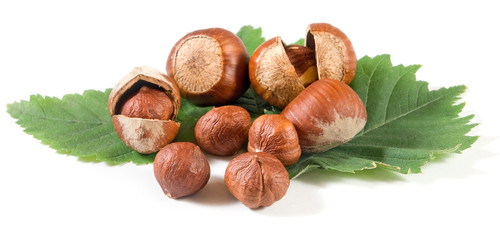 Isolated image of hazelnuts on a white background closeup