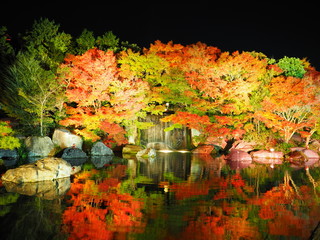紅葉ライトアップ