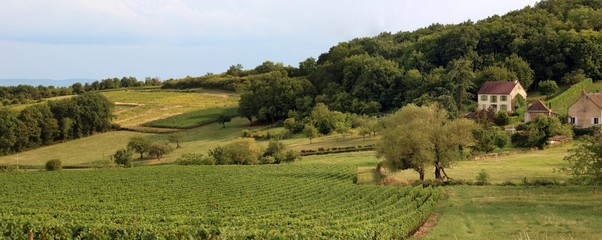 Fototapeta premium Côte Chalonnaise à Givry en Bourgogne.