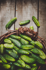 collected homemade cucumbers in a basket