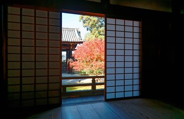 Naklejka premium Scenic view of fiery maple trees in the courtyard garden behind the sliding screen doors ( shoji ) & sunlight cast on the wooden floor of a traditional Japanese house in Kyoto, Japan