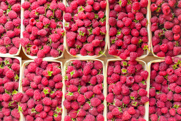 A lot of fresh raspberries in containers. Useful food