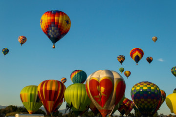 hot air balloons in the sky