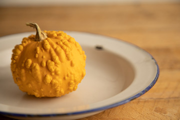 Diverse assortment of pumpkins on a wooden background. Autumn harvest...