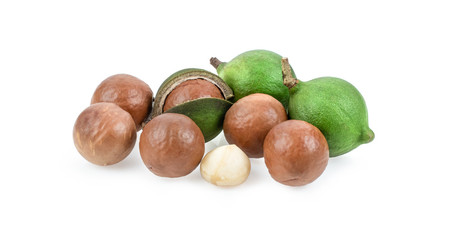 macadamia nuts isolated on white background