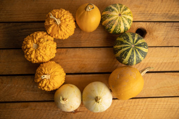 Diverse assortment of pumpkins on a wooden background. Autumn harvest...