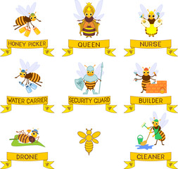 Set of different cartoon bee social castes with titles isolated on white background