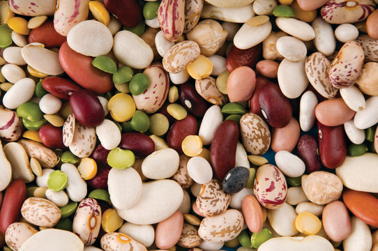 Different types of dry beans
