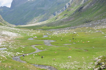 Ruisseau montagne randonnée alpes