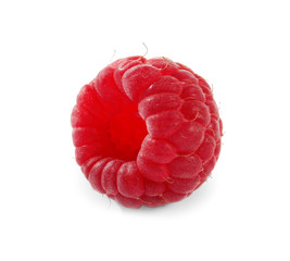 Red raspberries without leaves isolated