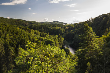 Nice summer valley with Vltava river and trees, Czech republic