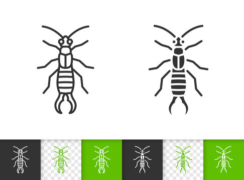 Earwig Dermaptera insect simple line vector icon