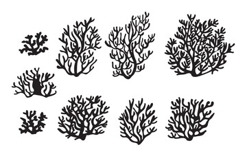 set of corals for underwater scene