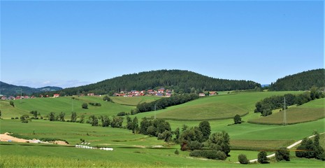 Fototapeta na wymiar Nationalpark Bayerischer Wald