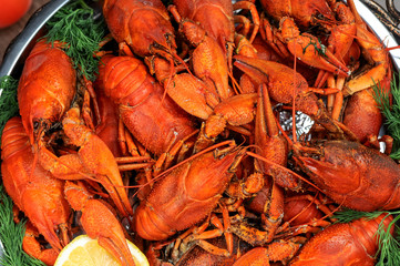 grilled crayfish on the board close-up