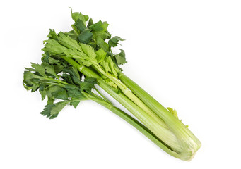 Fresh green celery stem on a white background