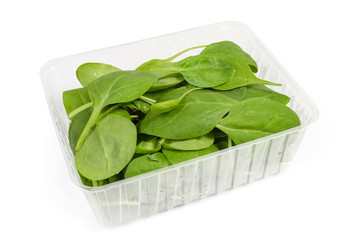 Leaves of fresh spinach in plastic container on white background