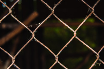 Fototapeta premium fence with barbed wire