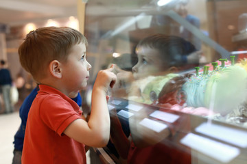 Boy choosing ice cream in cafe