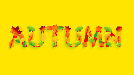 Autumn vector design set of posters and background