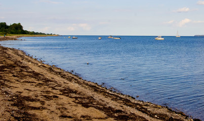 Obraz premium Sea shore. Landscape. Summer.