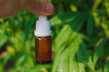 CBD oil cannabis in a glass jar in hand on a background of bushes of marijuana, hemp. The concept of medicine, human health, natural components in the medicine